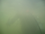 2012-02-19 10-20-25 Ludo